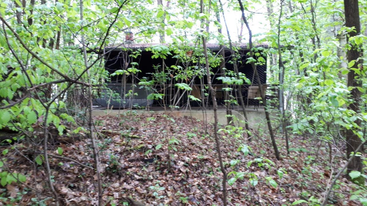 Waldhaus Wiesengrund Schwielochsee Eksteriør billede